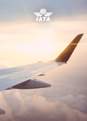 Case IATA 2 - Een behendige IT architectuur